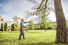 Best Hedge Trimming  in Dumfries, VA